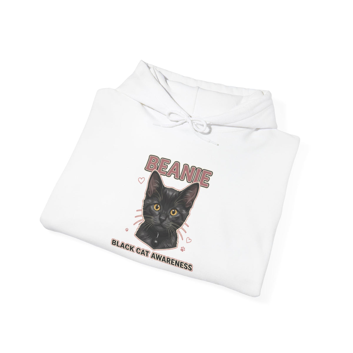 Beanie Awareness Hoodie