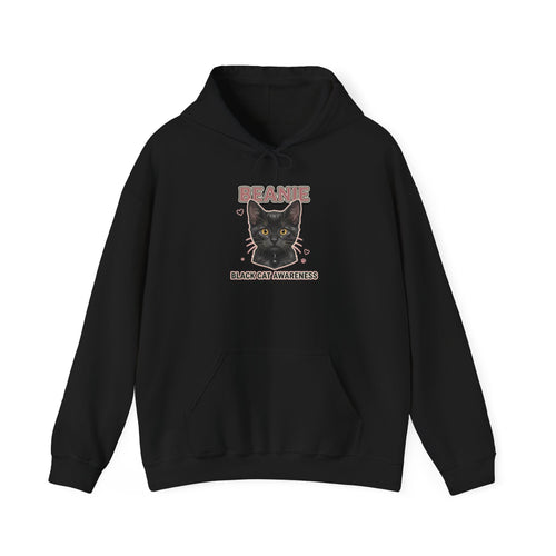Beanie Awareness Hoodie